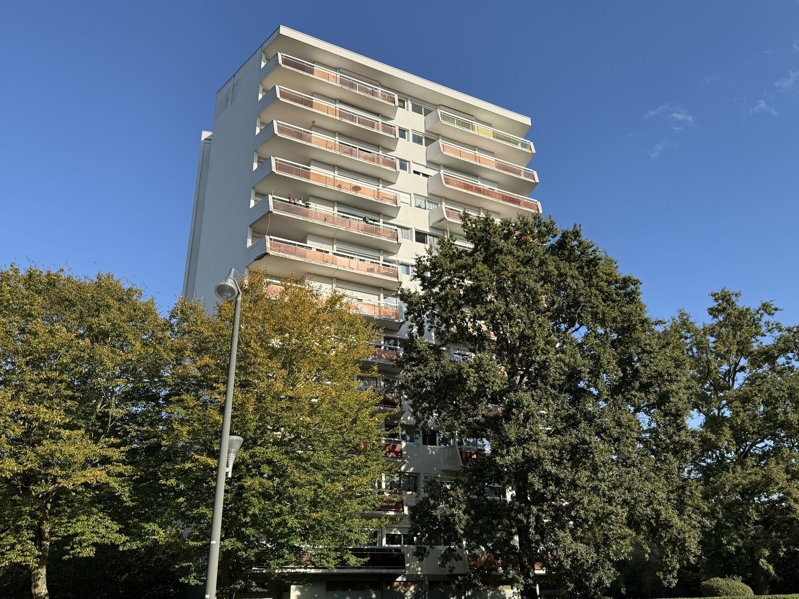 superbe F3 dans la verdure - Img 0448