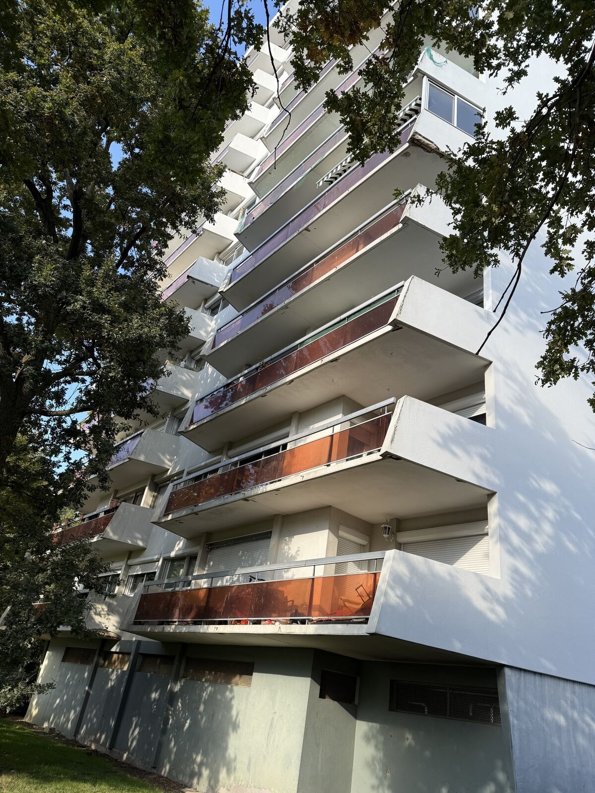 superbe F3 dans la verdure - Img 0447