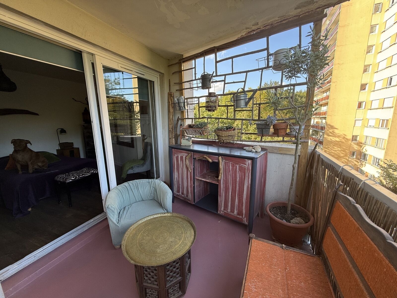 superbe F3 dans la verdure - Img 0443