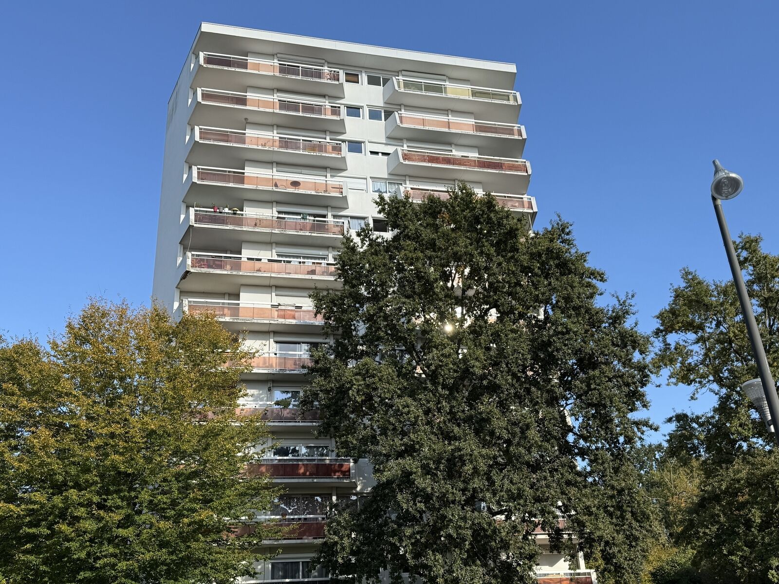 superbe F3 dans la verdure - Img 0449