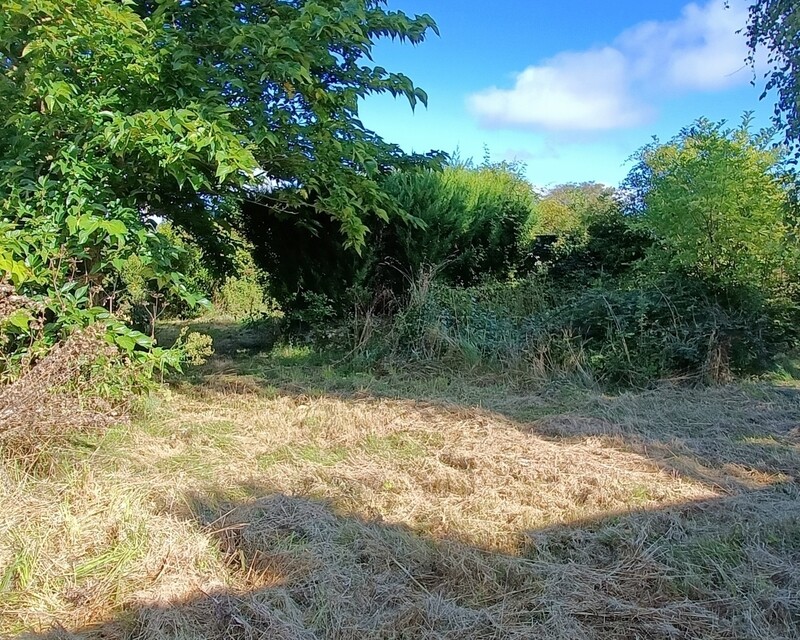 Terrain à bâtir avec caravane de 23m² viabilisé - Img20240913111258