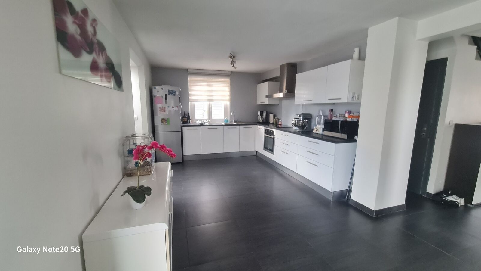 Maison à Hirtzfelden - 20241021 143454