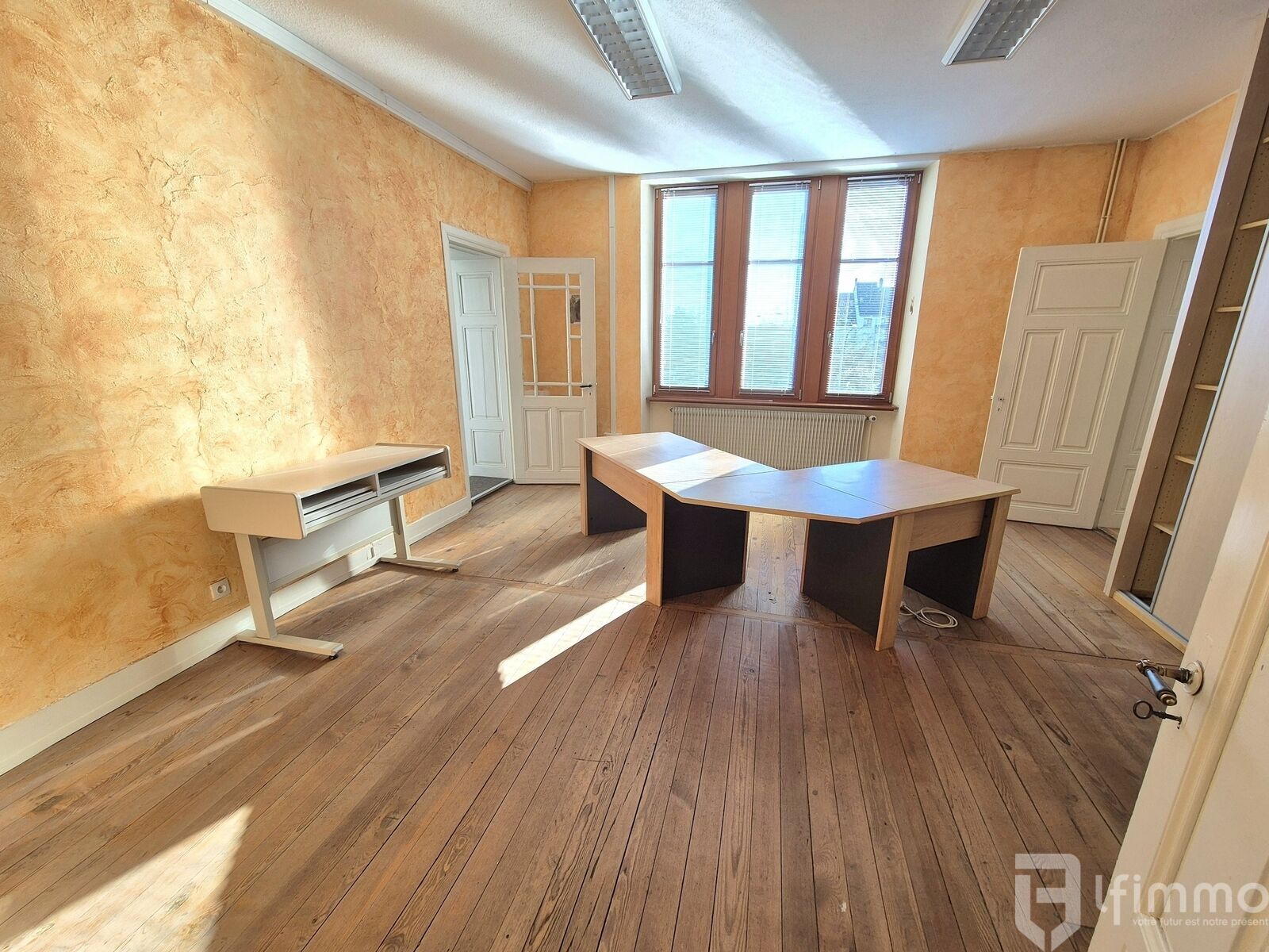 Ensemble immobilier d'environ 373 m2 sur 24.25 ares à Ingwiller.  - 20241120 130028