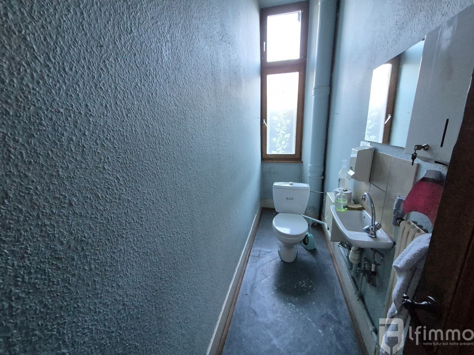 Ensemble immobilier d'environ 373 m2 sur 24.25 ares à Ingwiller.  - 20241120 125818