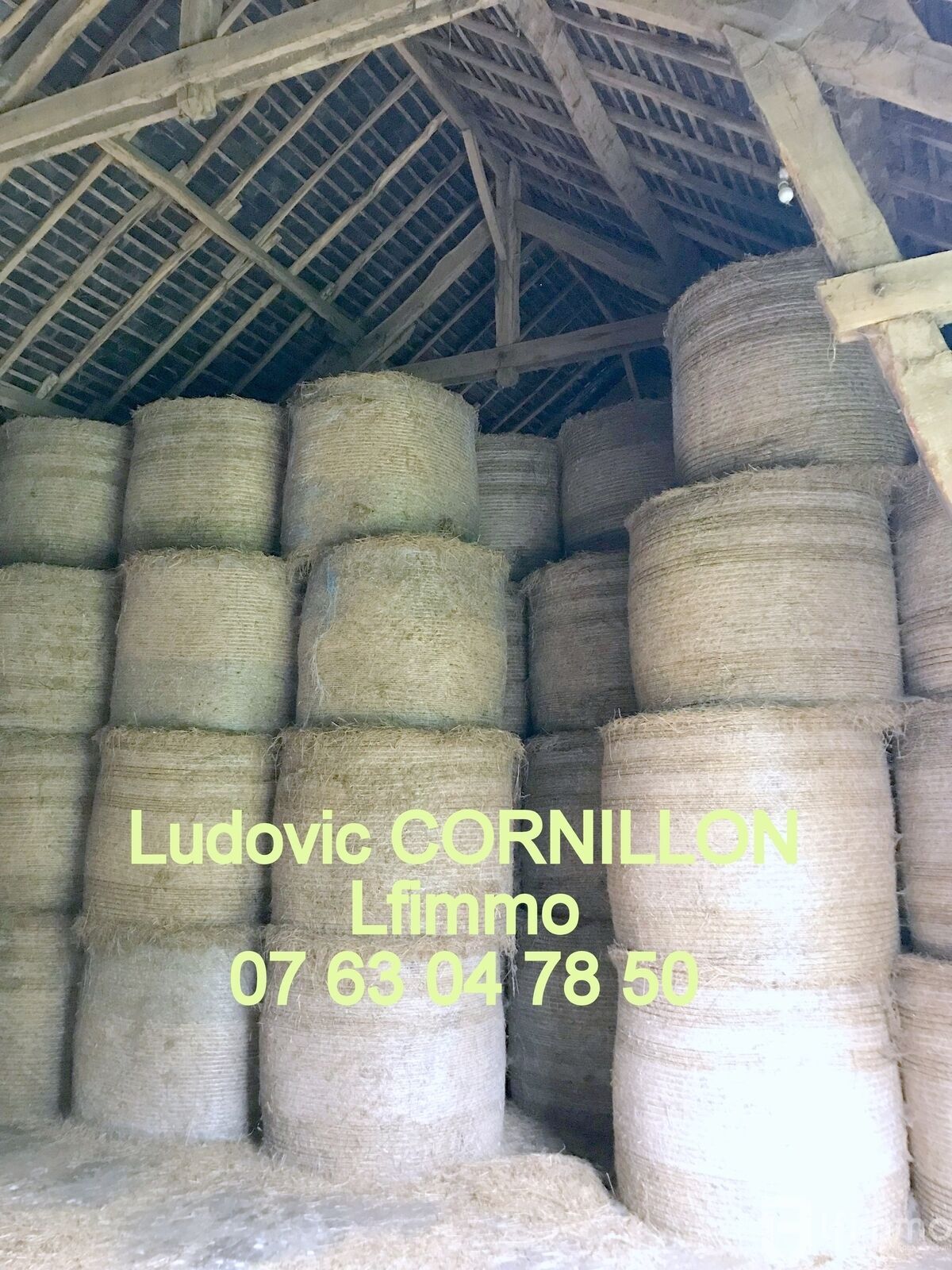 Propriété Agricole : 10ha 1700m2 de bâtiments - Img 5219