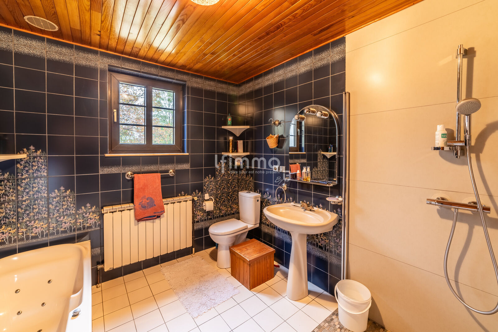 Maison Familiale, dans les Plaines Mosellanes. - 06 novembre 2024-14315c9a0552-hdr