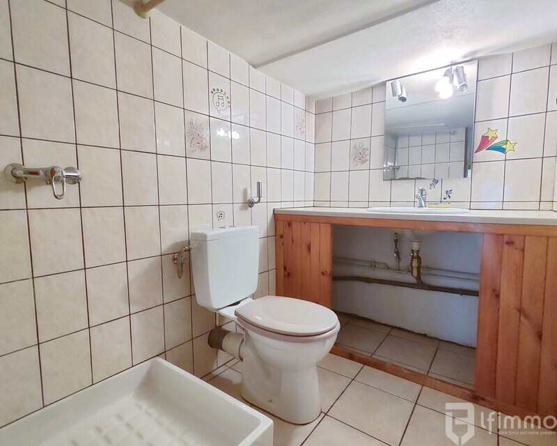 Local Commercial Entièrement Rénové – Thann (68800) - Salle d'eau WC