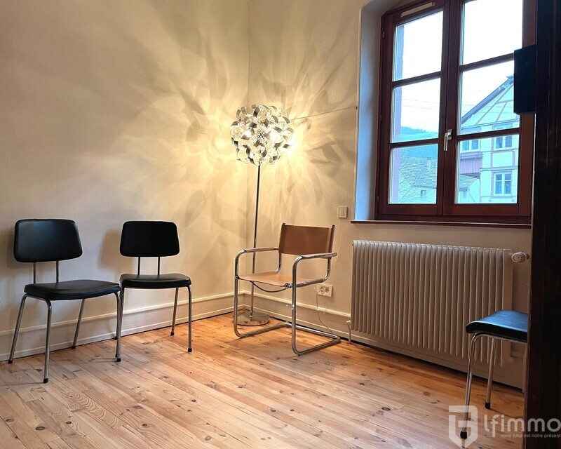 Immeuble de Rapport au coeur de Wintzeheim - A salle d attente rdc