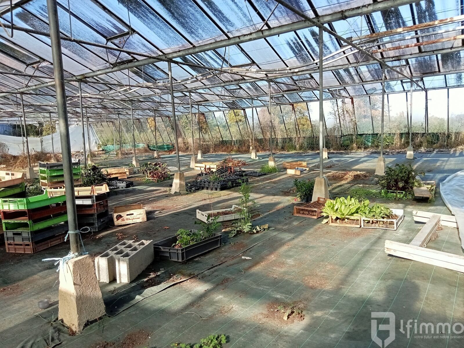 reprise fond de commerce horticole vic en bigorre - Img20241106113626