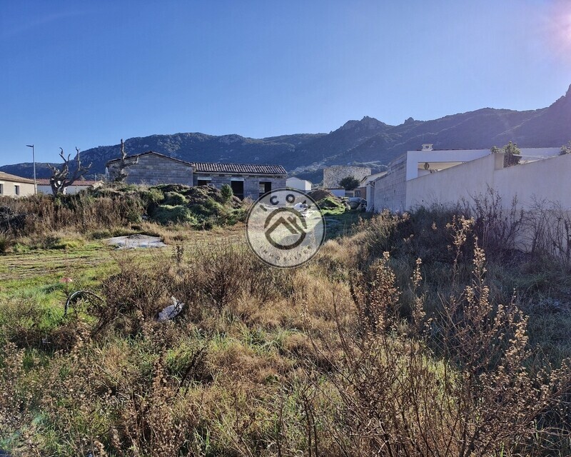 Figari: Terrain à bâtir constructible de 493M² - 20250205 094154