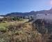 Figari: Terrain à bâtir constructible de 493M² - 20250205 094154