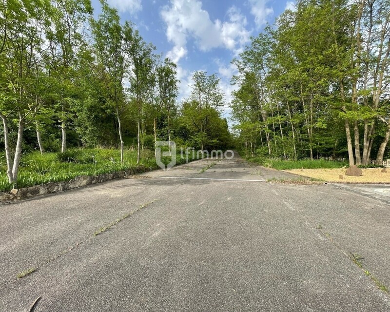 Terrain naturel de loisirs de 8 hectares environs à Rixheim - 4f3e7dff-1305-4383-a4a6-e7b3dcd495ca