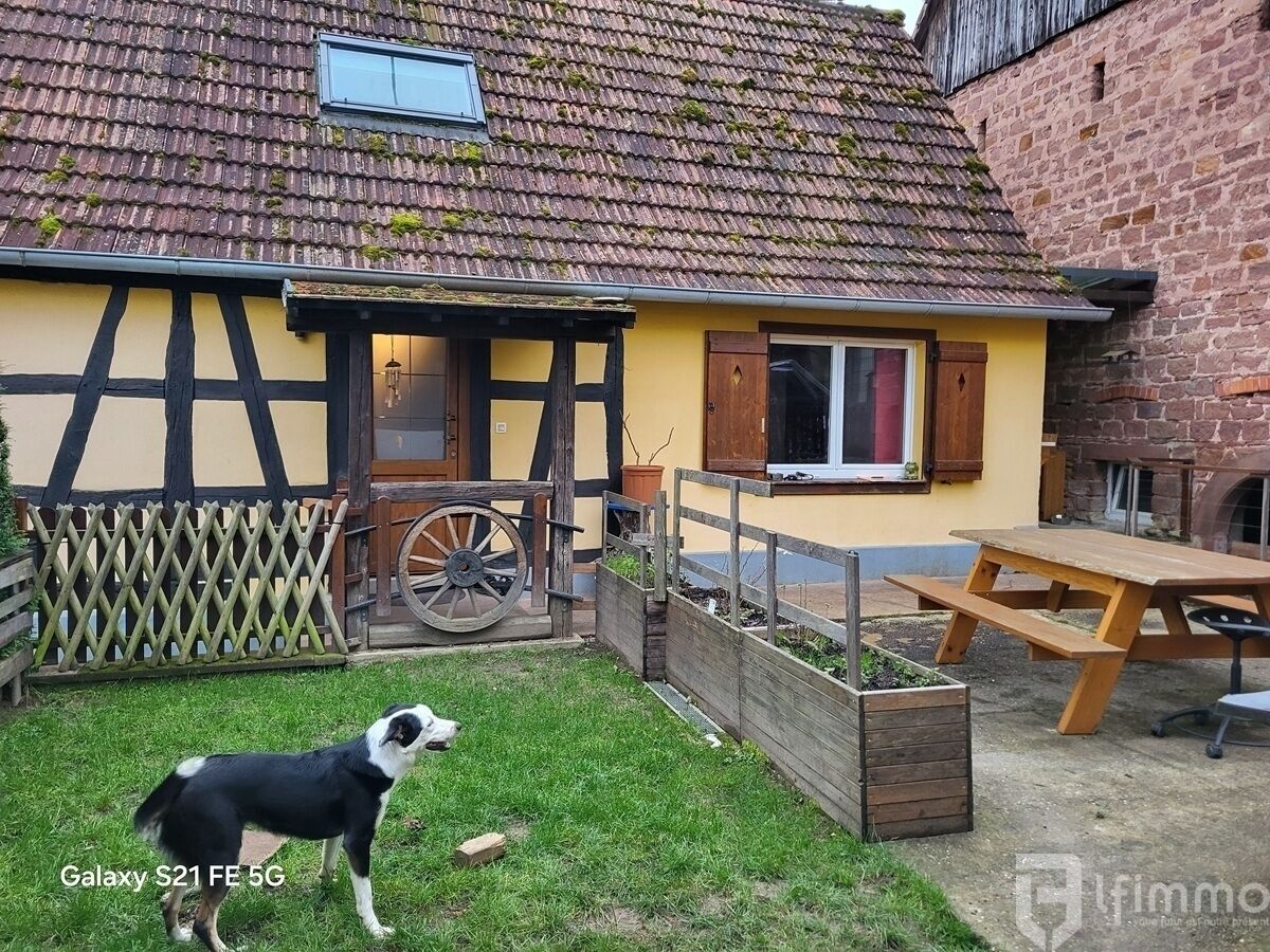 Maison à Langensoultzbach - 20241209 151145