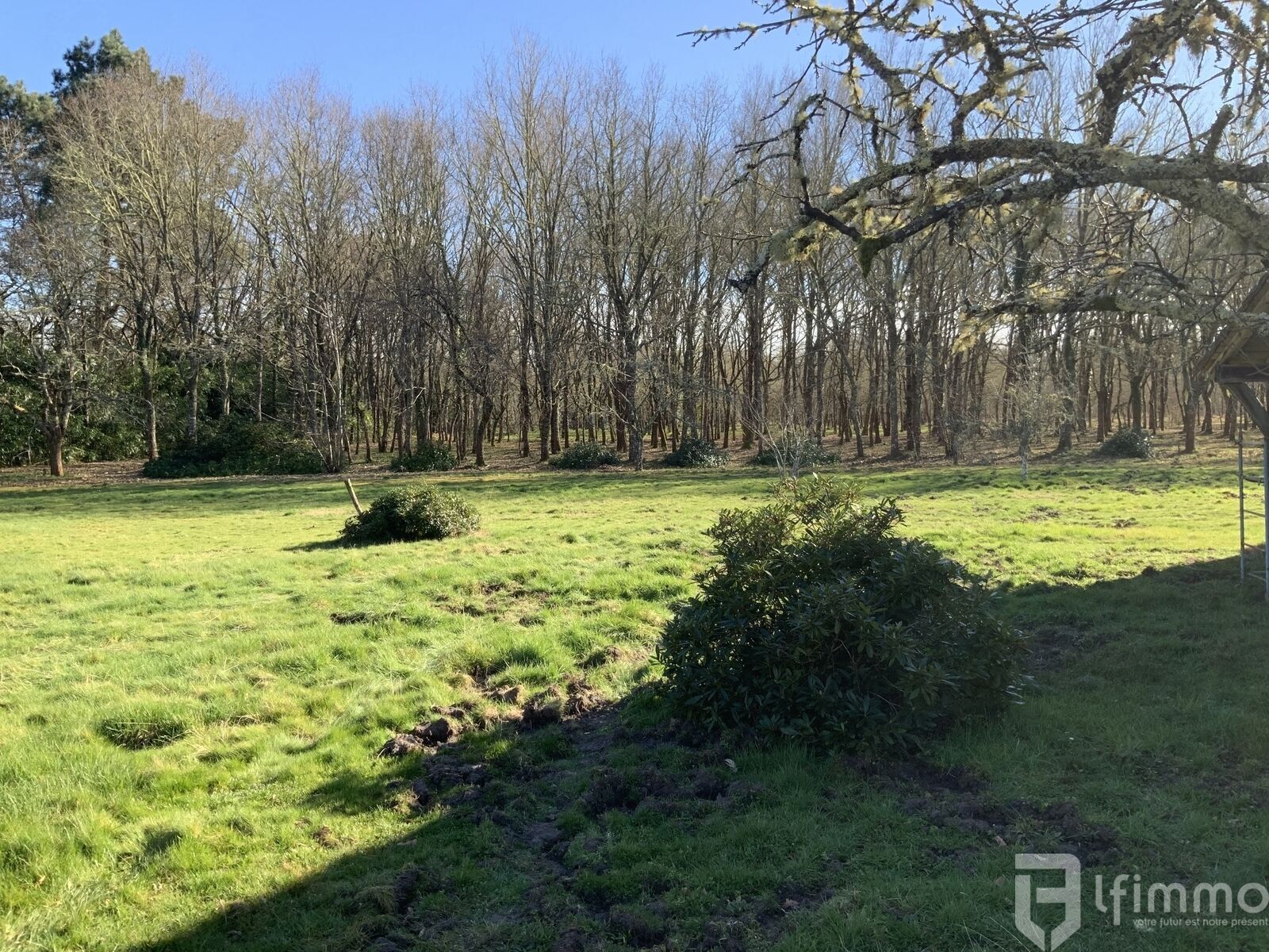 Propriété de caractère   - Img 1664