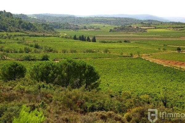 Terrains à bâtir au cœur d’un emplacement stratégique - Ferrals-les-corbieres-la-prade