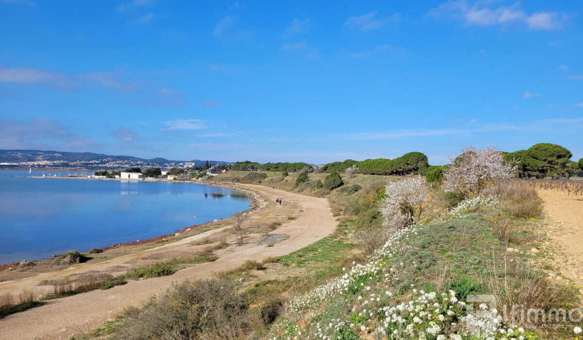 Terrain Constructible à Vendre – Vue sur les Étangs - La nautique