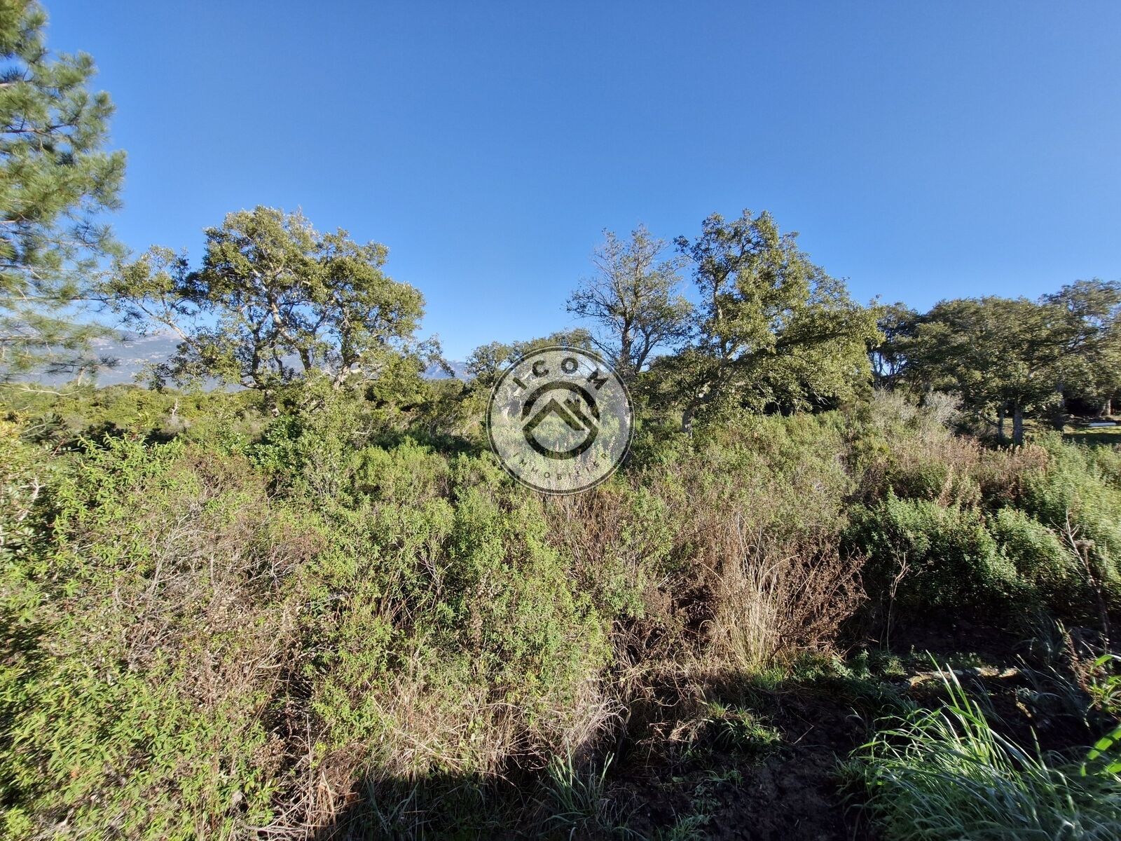 Figari: Terrain à bâtir - 20250205 094817