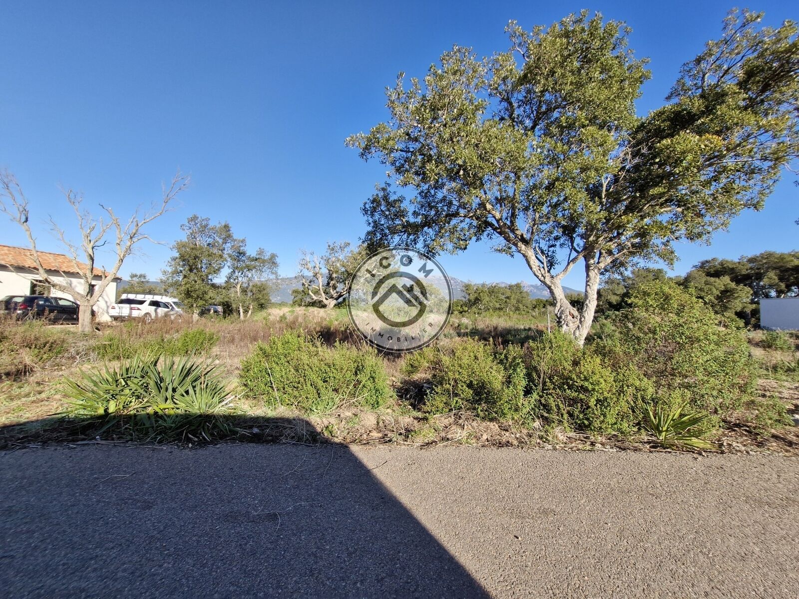 Figari: Terrain à bâtir - 20250205 094654