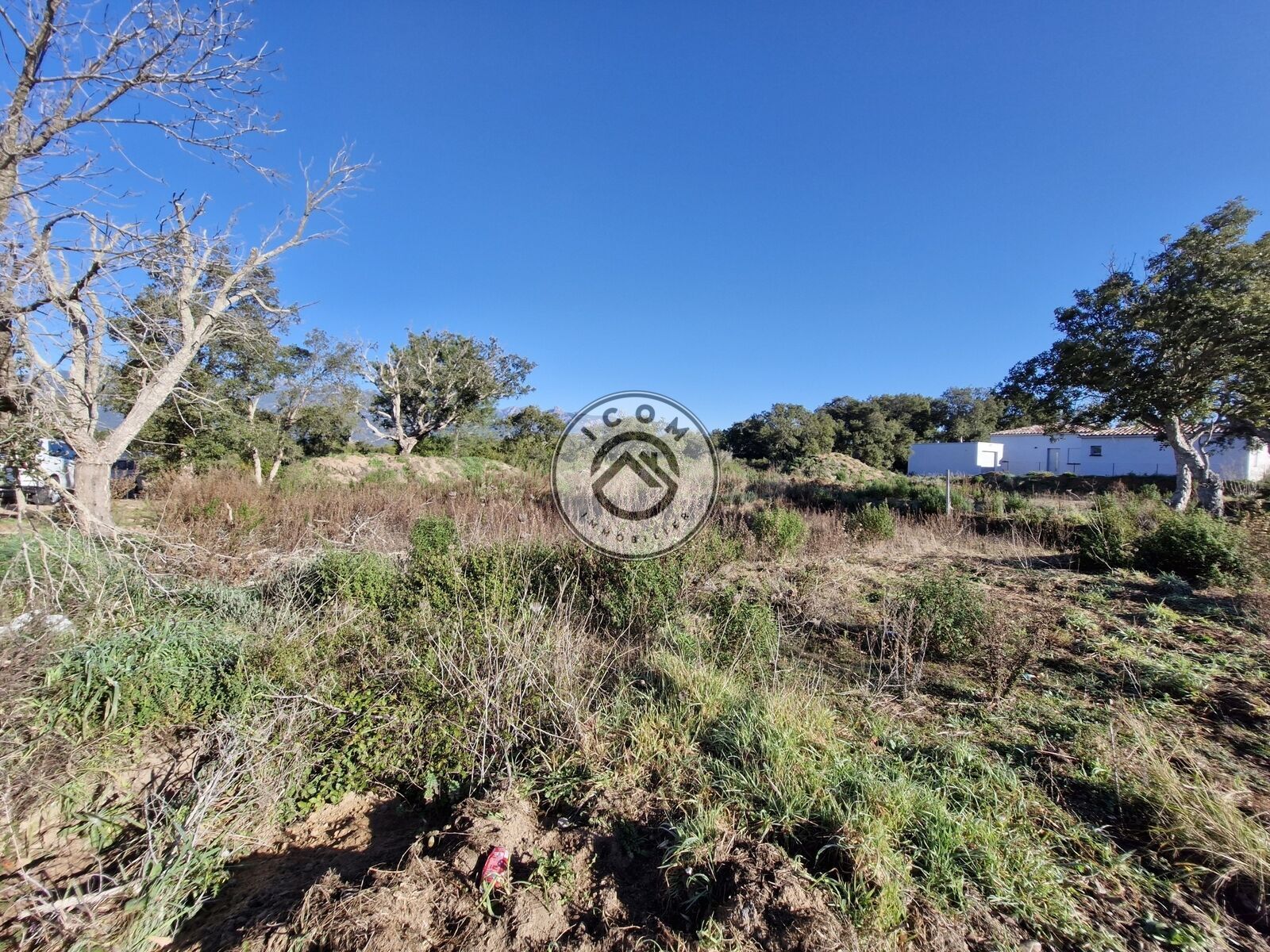 Figari: Terrain à bâtir - 20250205 094638