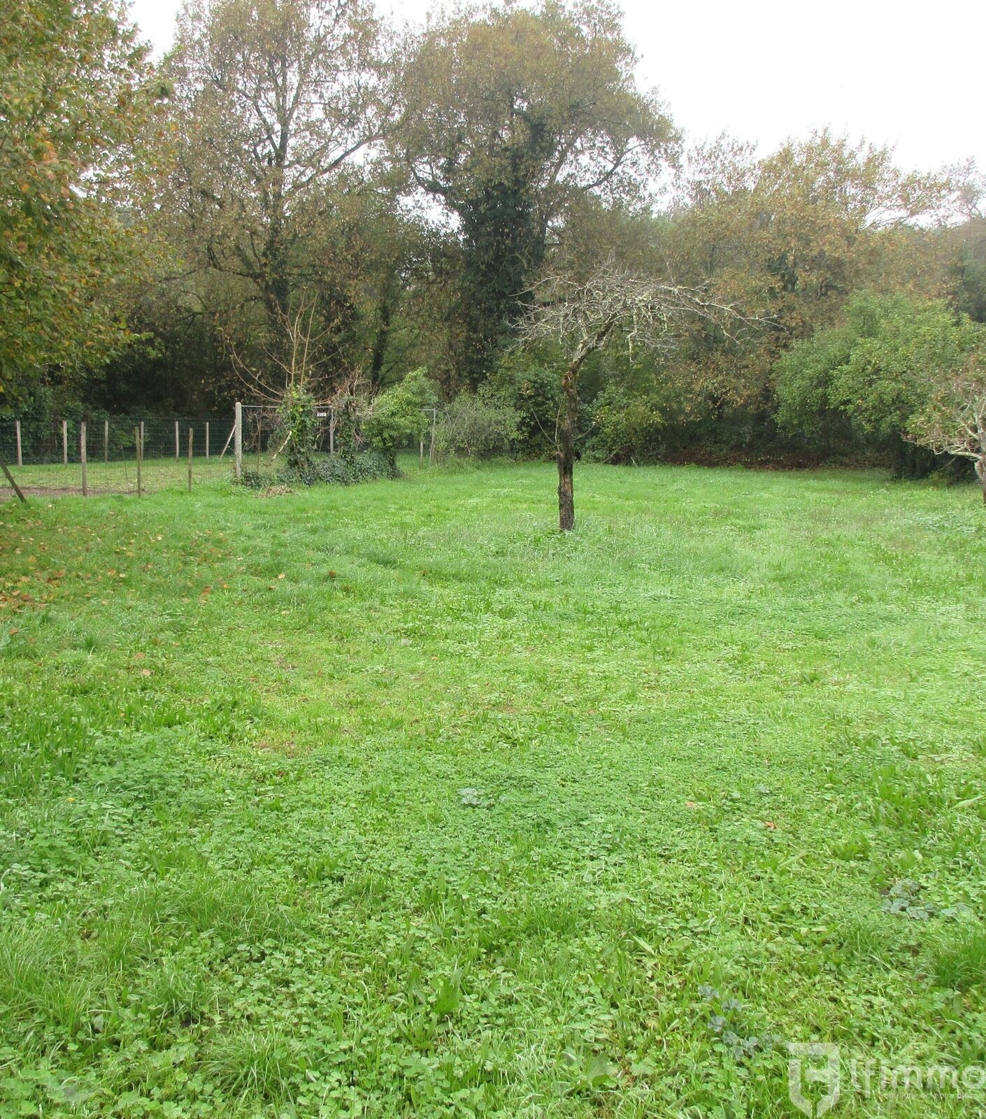 Terrain viabilisé - Img 4029