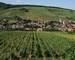 Neuf Appt 4P Haut de gamme à Barr - Kirchberg de barr grand cru kirchberg de barr - vins d alsace