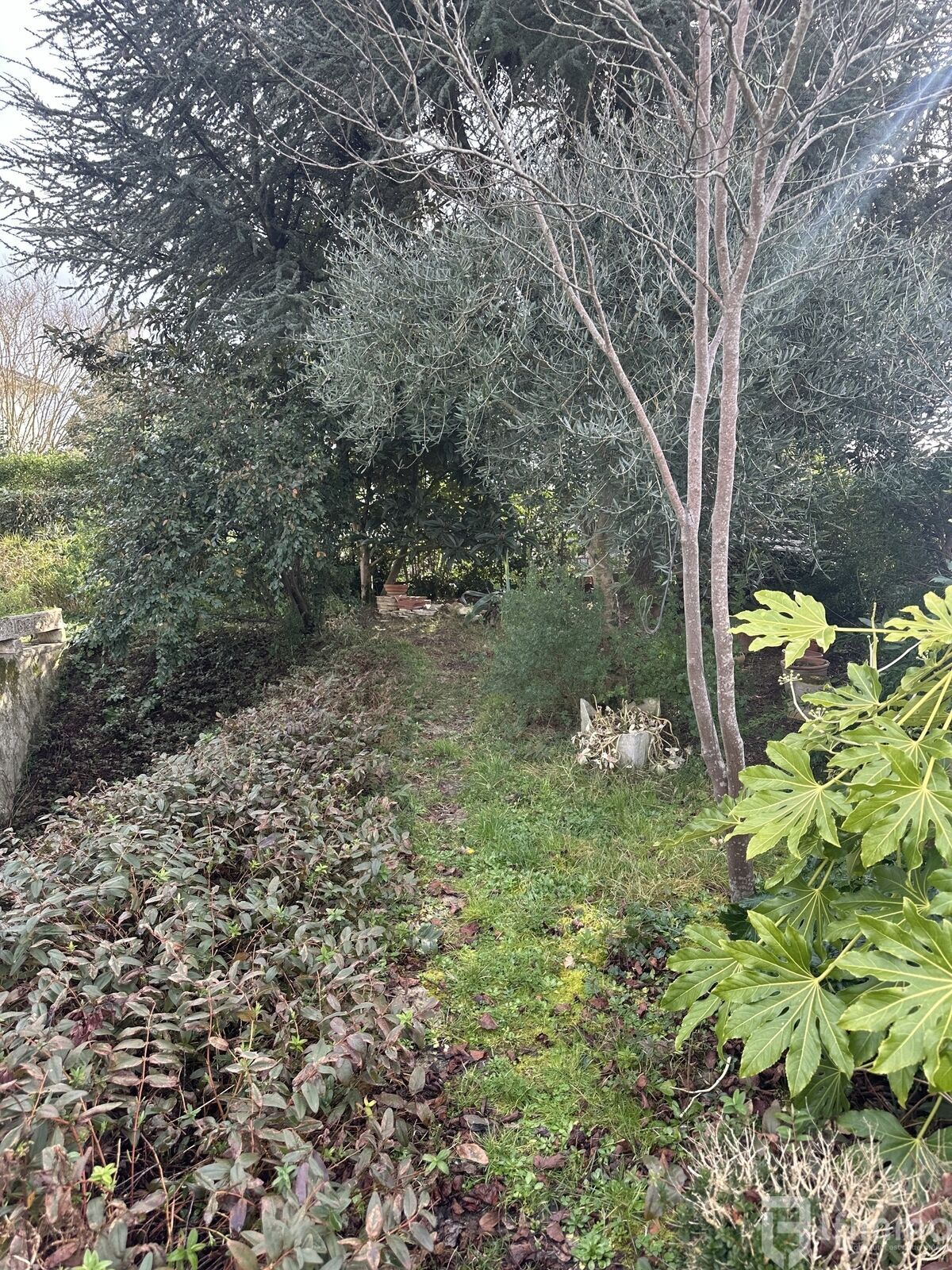 Charmante Maison d'architecte à Castelsarrasin - Gg