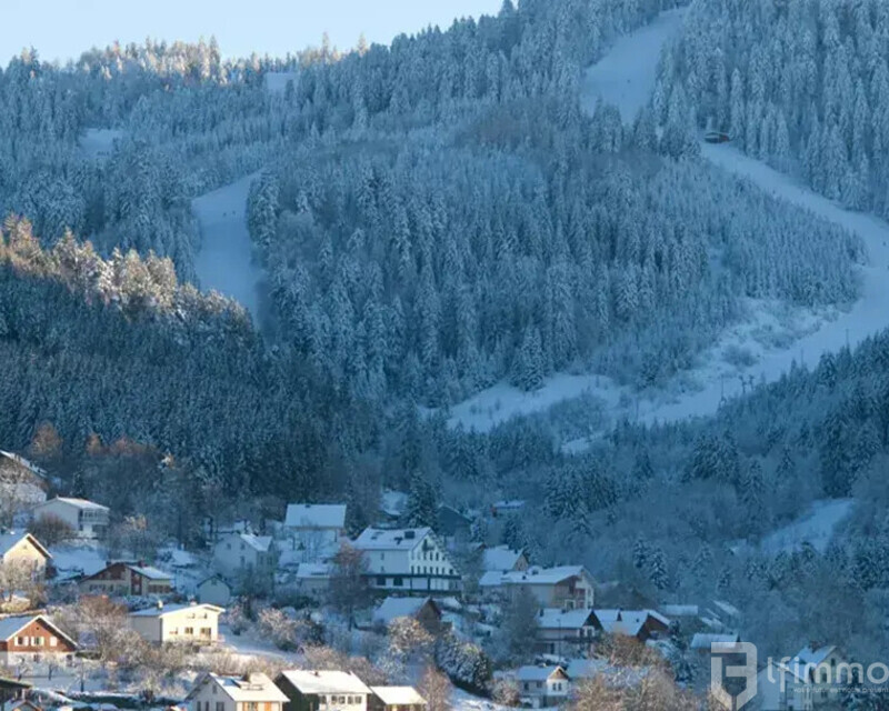 Superbe appartement Gérardmer - Frvosg001-gerardmer