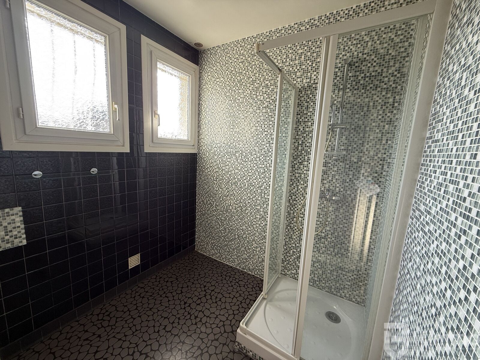 Au centre du Vert Galant - Img 1528