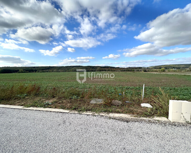 Vends à Condé-Northen un beau terrain à bâtir de 14 ares - Terrain conde northen