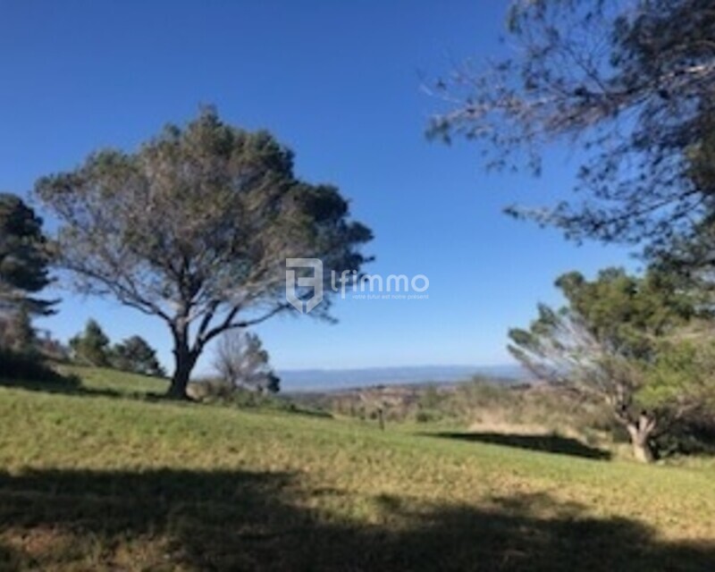 Terrain de loisirs  - Nature v 1