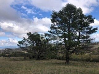 Terrain de loisirs  - 1739901045119