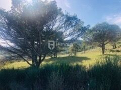 Terrain de loisirs  - 1739901012240