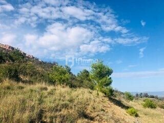 Terrain de loisirs  - 1739901012250