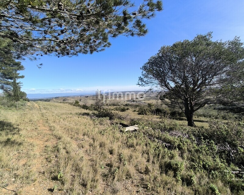 Terrain de loisirs  - Img 20250228 113217