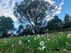 Terrain de loisirs  - 1739900947039