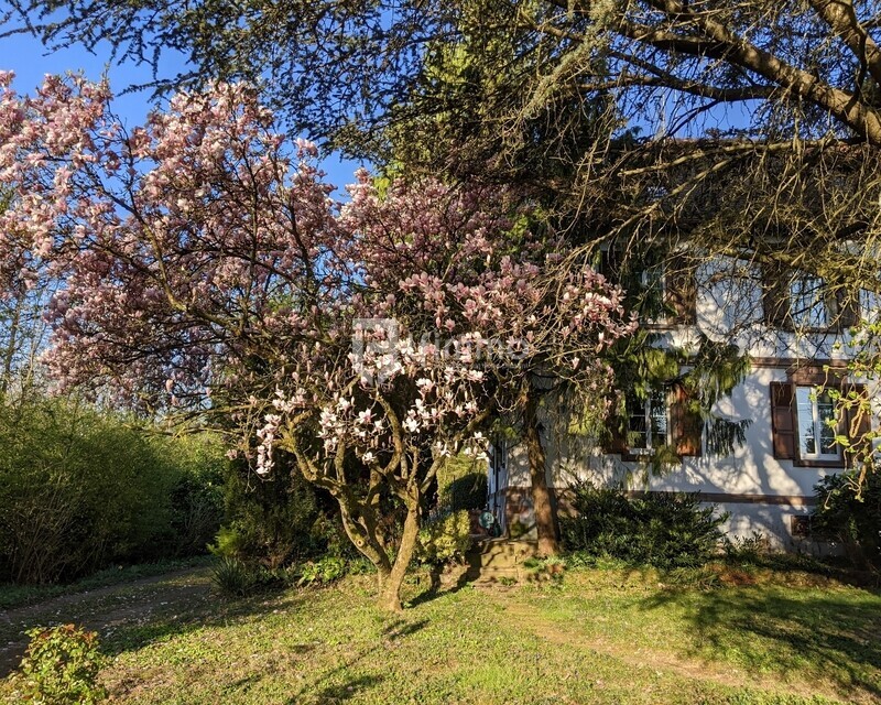 Maison 9 pièces 170 m² - Pxl 20250403 062652901