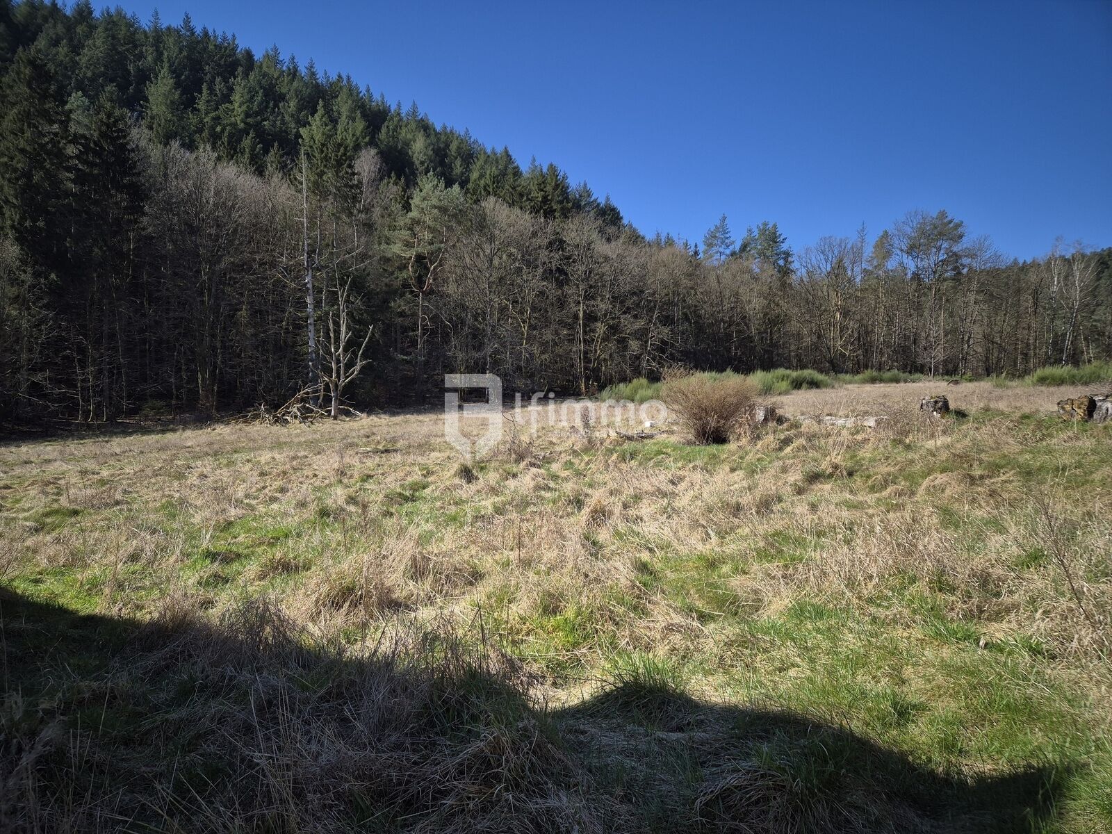 Maison forestière d'environ 159 m2 habitables sous offre. - 20250318 110102