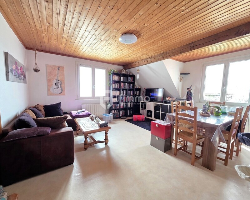 Appartement F3 avec garage et parking à Balschwiller (68210) - salon salle à manger