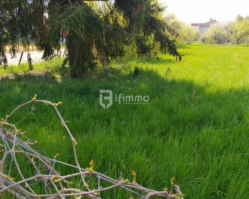 Terrain de construction 1000 m² - Screenshot 20250506 183619 messages