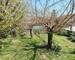Maison 176 m²,4 chambres Ugnouas - jardin arboré