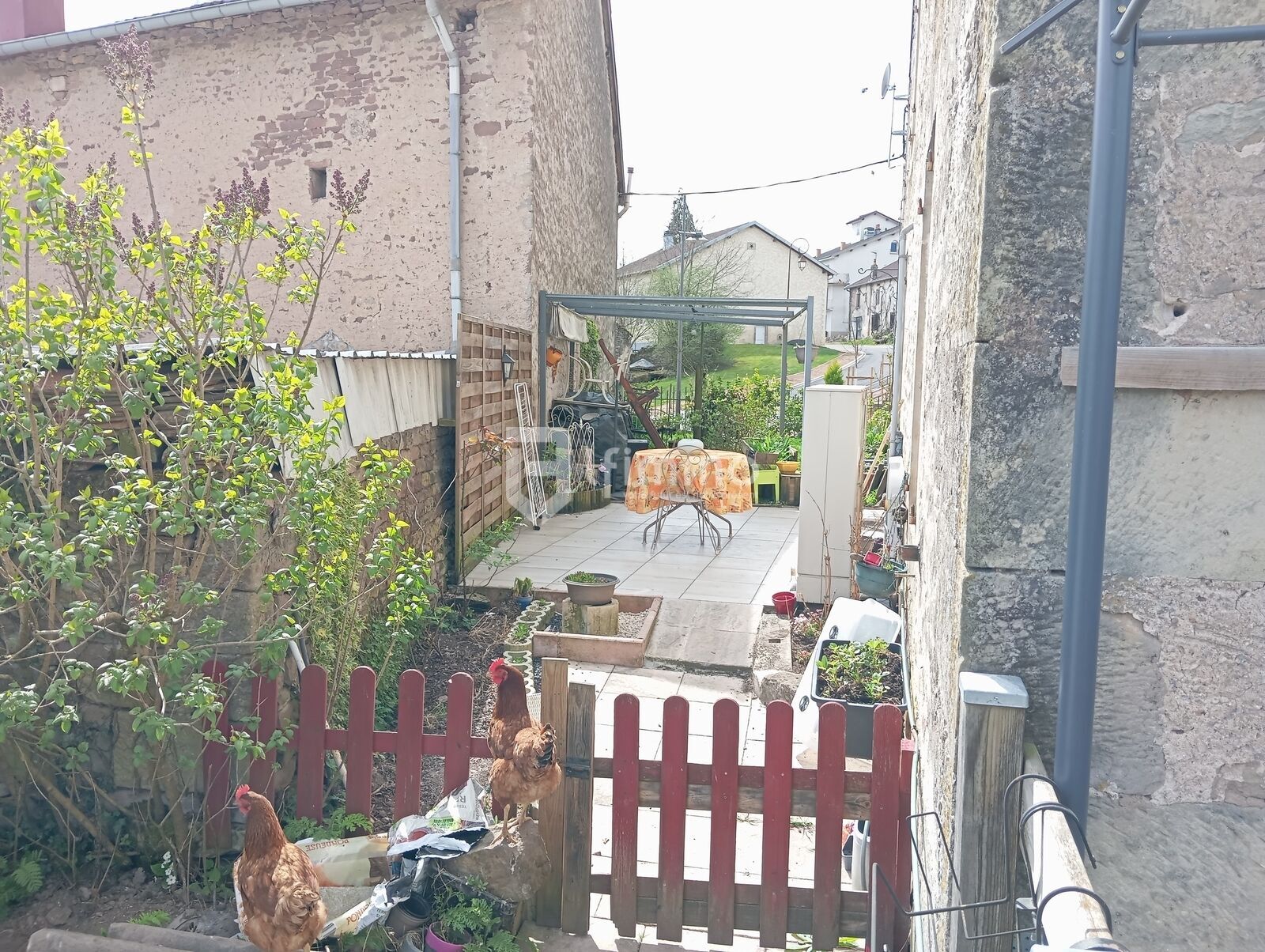 Charmante maison mitoyene - Img 20250414 144412