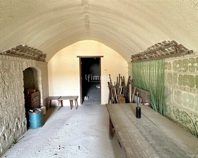 Cave Troglodyte à Montoire 41 - Ia generated 1763991625