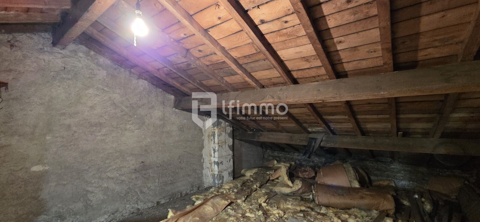 Immeuble 2 logements et garage de 120 m2 - 20250405 112522