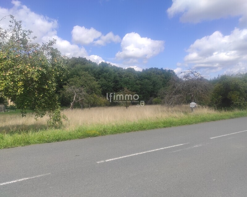Très grand terrain à construire  - Img 20250804 151449