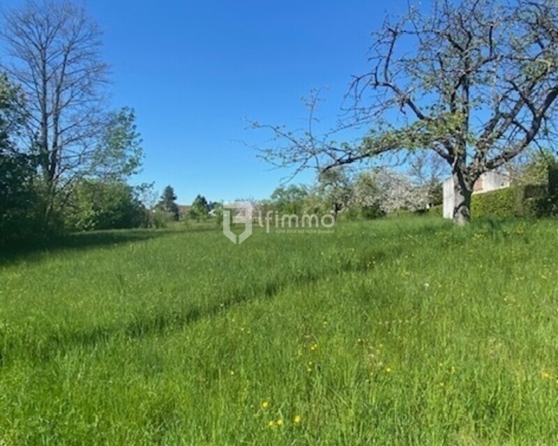 Terrain à bâtir - Photo terrain enchenberg 2