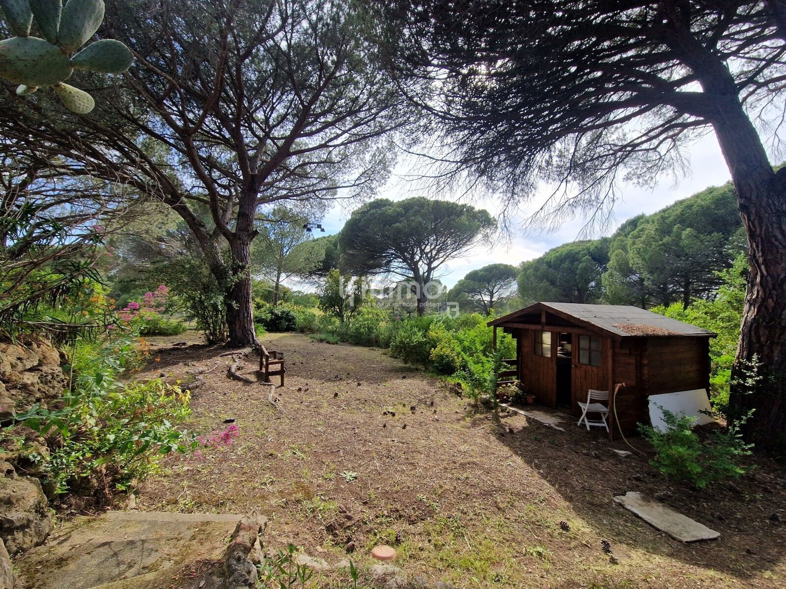 Villa individuelle avec piscine  - 20250511 171908