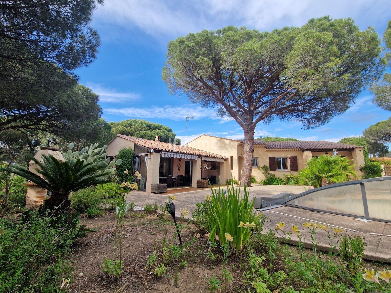 Villa individuelle avec piscine  - 20250511 171835