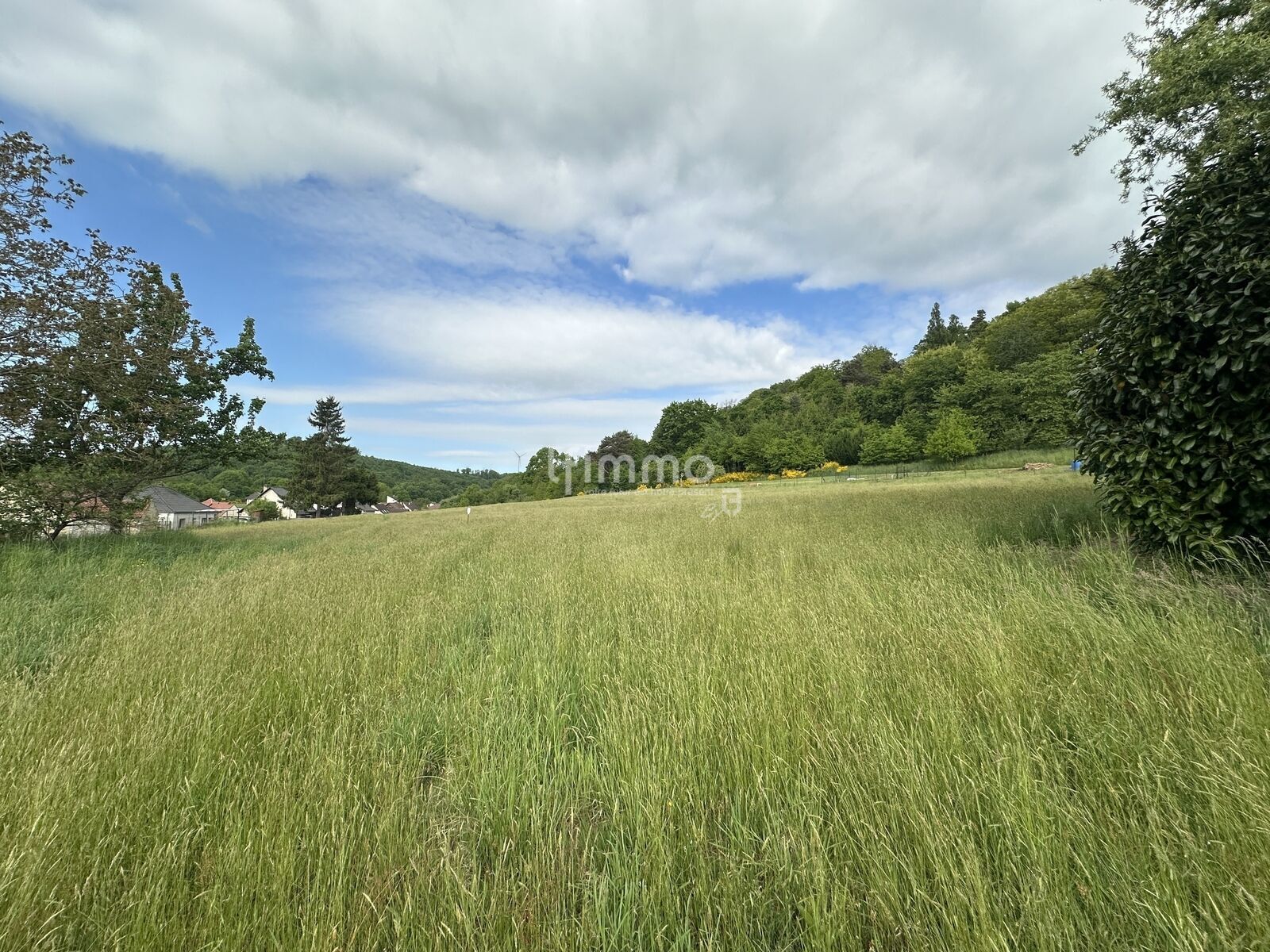 Magnifique terrain de plus de 10 ares avec vue sur la forêt - Img 4508