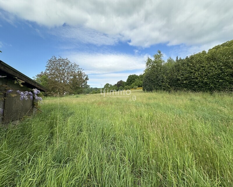 Magnifique terrain de plus de 10 ares avec vue sur la forêt - Img 4506