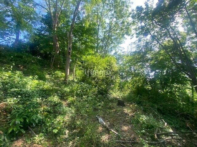 Terrain à bâtir de 1994m2 - Img 8533